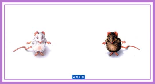 反正 (02),绘本,绘本故事,绘本阅读,故事书,童书,图画书,课外阅读